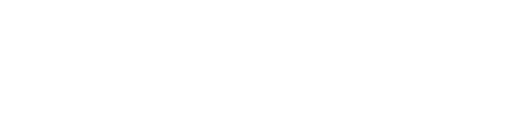 Suntex Strategic National Partner and NFP logos in white.